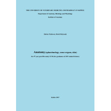 Anatomy (splanchnology, sense organs, skin)